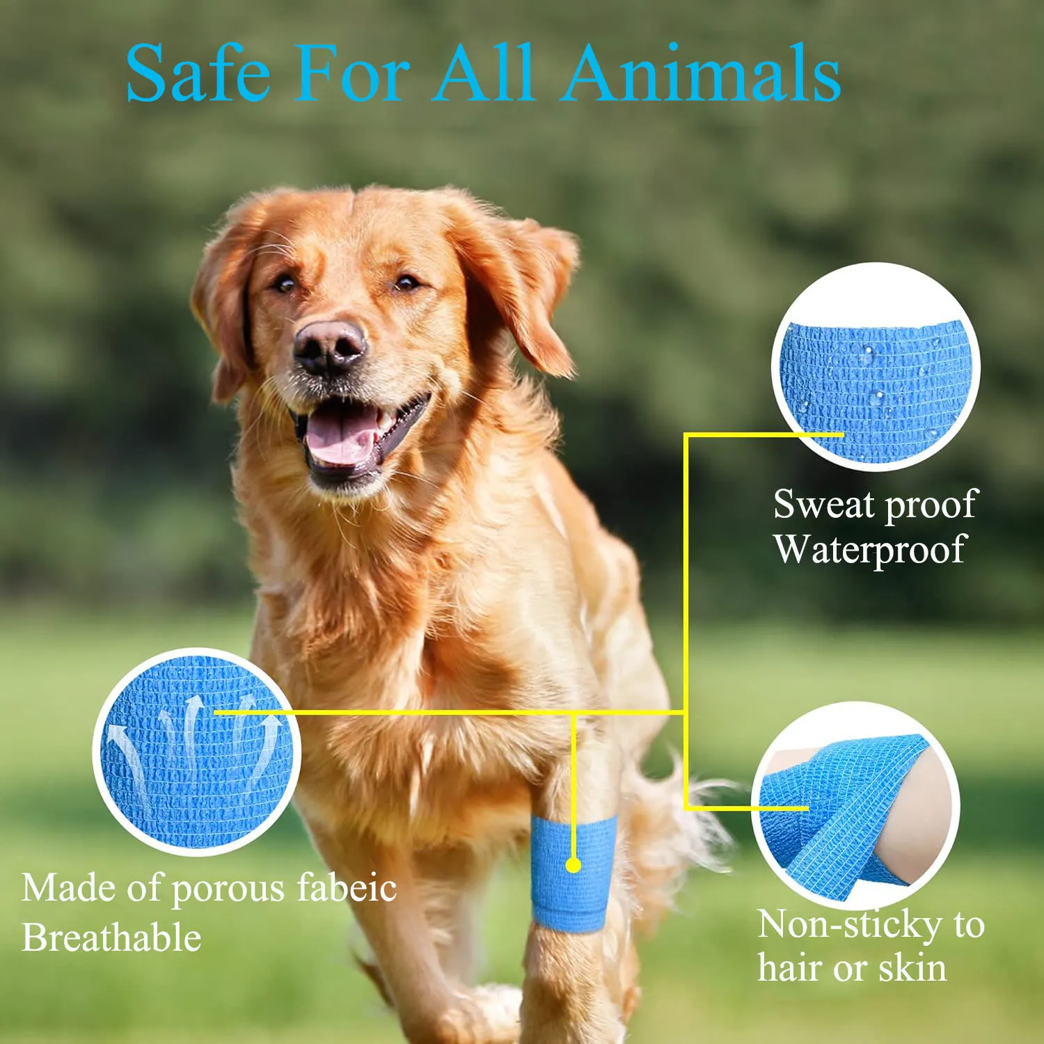 Aplikas a Elastic Self-Adhesiv Bandages