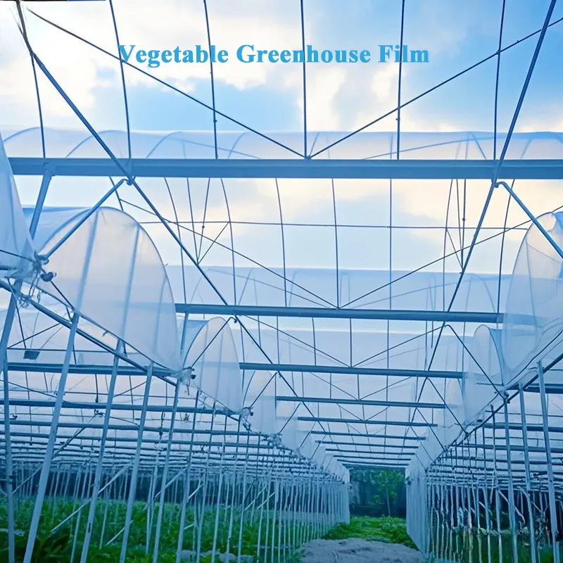 Aplikasi PE and POE Adhesive