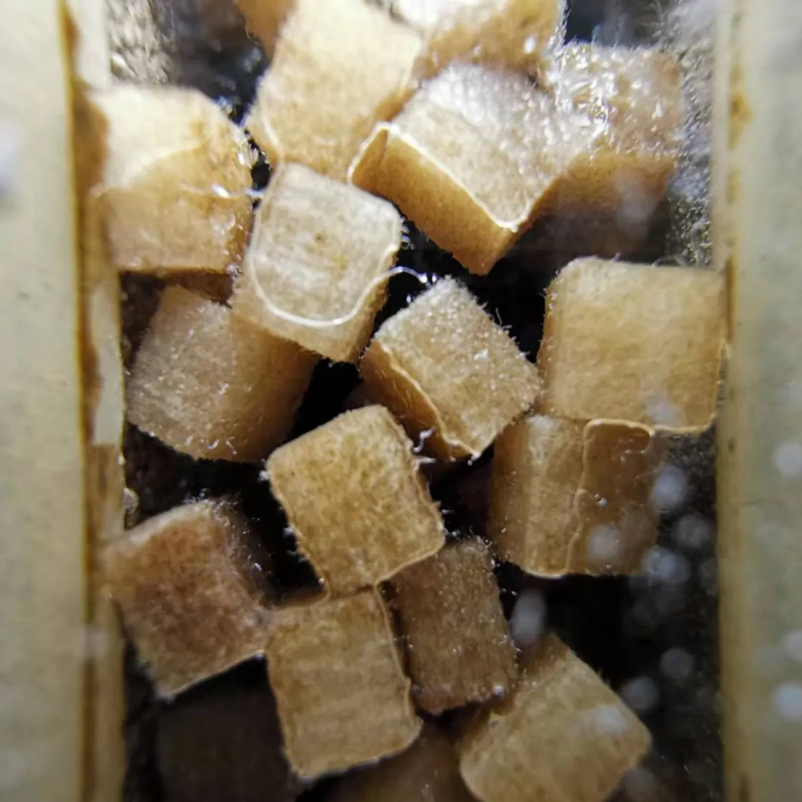 Aplikasi PP670 Particles Pinter Cotton